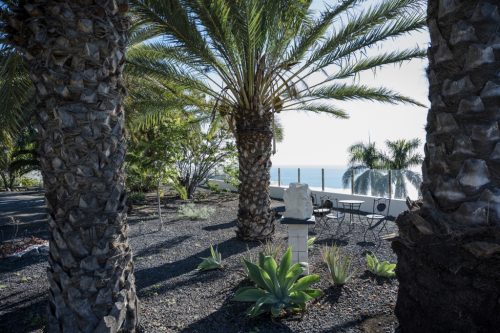 Kunst-auf-der-Finca Anna-Futter
